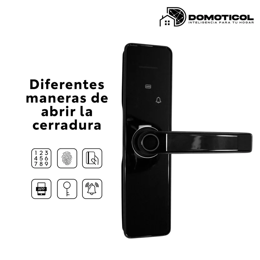 Cerradura Digital Inteligente de Alta Seguridad Ilock Ls008 con Apertura por Wifi Huella Tarjeta Clave de Acceso y Llave